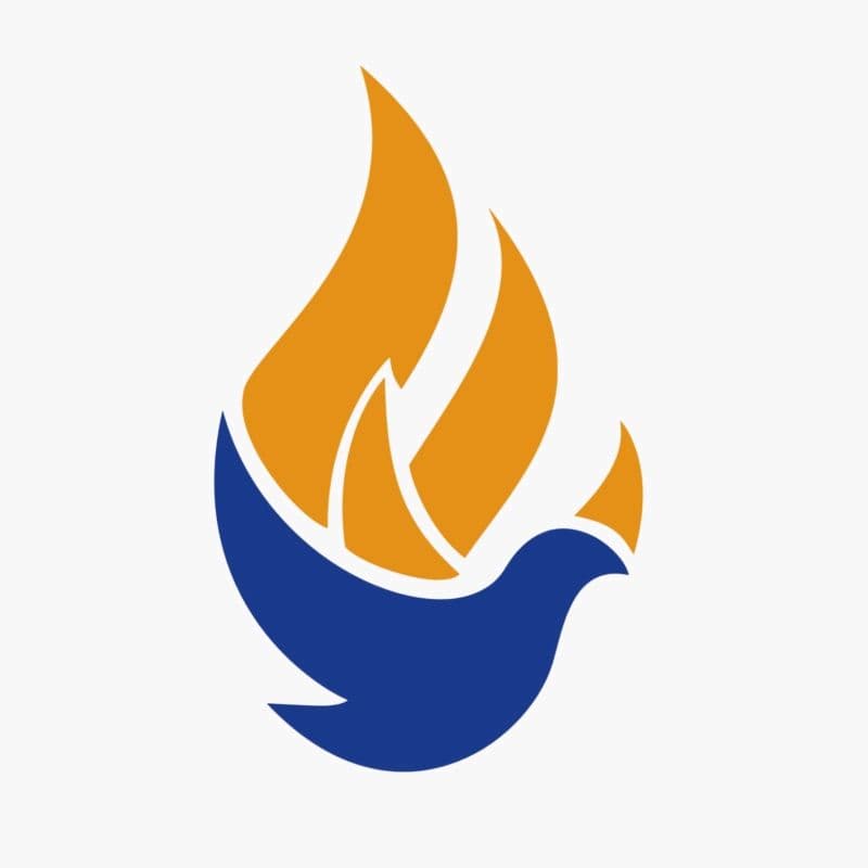 Illuminate App: A Clear Guide to What It Is and Why It Matters